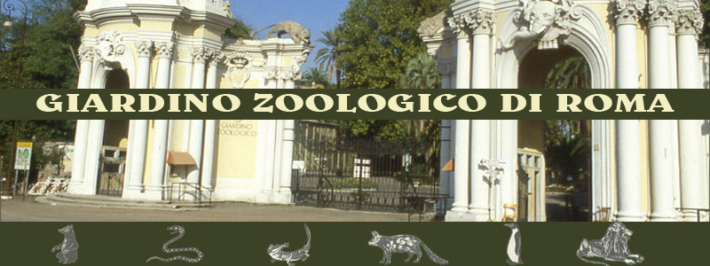 foto dell'entrata del giardino zoologico di roma