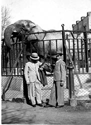 foto del papa' e il nonno di Antonio che posano dinanzi all'elefante M'Toto, 1936 circa